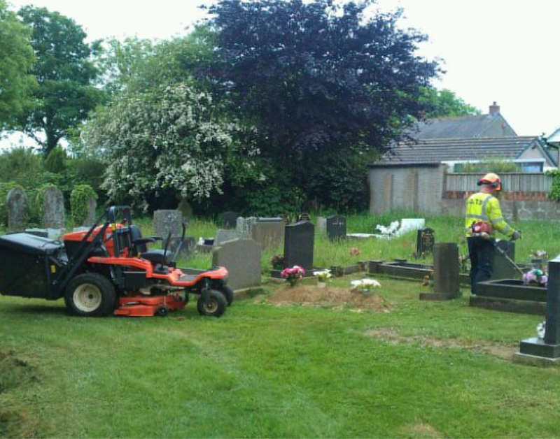 Tree removal and tree dismantling services Ceredigion