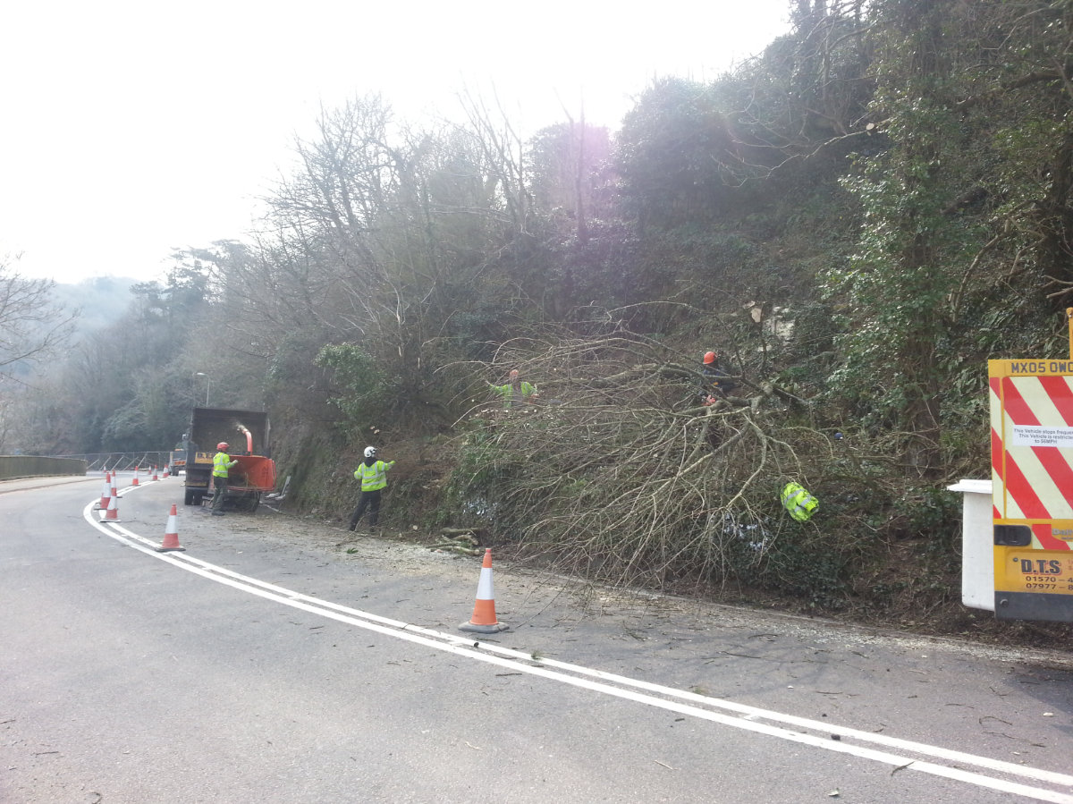 Roadside Clearance